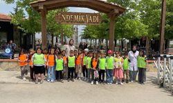 Mektep yuvası Endemik Vadi