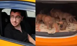 Ankara'da sahiplendiği köpekleri öldüren doktora 17,5 yıla kadar hapis istemi
