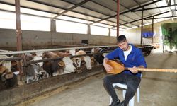 Hayvanları için saz çalıp türkü seslendiriyor
