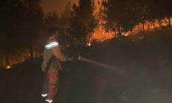 Anız yakarken ormanı yaktılar
