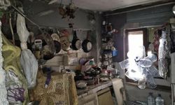 Aydın'da bir evden 4 kamyon çöp ile 12 kedi ve 3 kaplumbağa çıktı