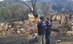 Bakan Kurum: Bilecik'teki yangında 23'ü ev, 47 birim yıkıldı