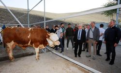 Yenimahalle’de kurbanlar kesildi