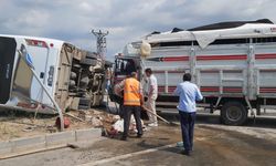 Büyükbaş yüklü kamyonet ile servis minibüsü çarpıştı: 3 yaralı