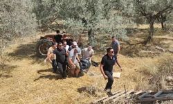 Devrilen traktörün altında kalan sürücü öldü