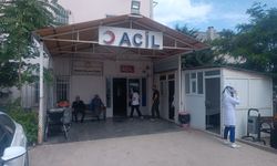 Diyarbakır’da yılanın ısırdığı çoban öldü