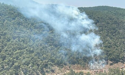 Manisa'daki orman yangını 4 saatte söndürüldü
