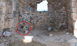 Tarihi kilisenin taşlarını söküp, bölgede mangal yapmışlar