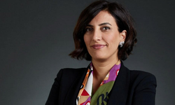 Meralar bir projeyle risk altında