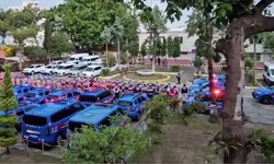 12 ilde organize suç örgütü operasyonu: 230 kişi yakalandı