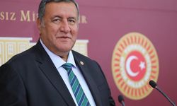 Gürer: Tarımsal üretim kapsamlı bir planla ele alınmalı