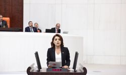CHP’li Gülcan Kış “Vatandaş vergiye, cezaya, harca çalışıyor, sarayın kasası büyüyor”