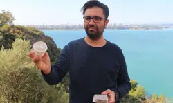Flamingo ve kaplumbağaların yaşam alanı olan koruma altındaki lagünlerde plastik tehdidi