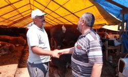 Kurban Bayramına 2 gün kala hayvan pazarlarında hareketlilik devam ediyor
