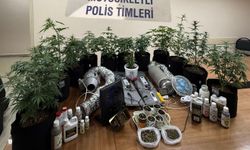 Uuyuşturucu serasına çevrilen eve baskın: Polis kapıyı kırarak açtı