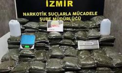 İzmir'de 126 kilo bonzai ele geçirildi