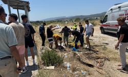 İzmir'de motosiklet, otobüs durağına çarptı: 2 yaralı