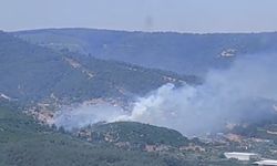 İzmir'de orman yangını