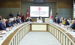 Kamu Denetçiliği Kurumu'nun yıllık raporu kabul edildi