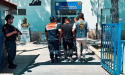 Kayseri'de köpek dövüştüren 8 kişiye gözaltı
