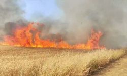 Manisa'da buğday tarlasında yangın