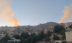 Mardin Kalesi eteklerinde 3 ayrı noktada örtü yangını