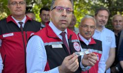 Ordu'da kahverengi kokarca ile mücadele kapsamında doğaya 245 bin 'samuray arısı' salınacak