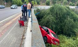 Otomobil, bariyerlere çarpıp ağaçlık alana düştü; 4 yaralı