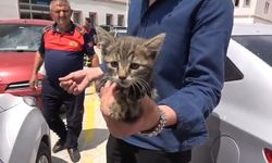 Otomobilin motoruna sıkışan yavru kedi kurtarıldı