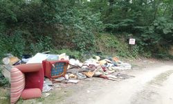 Sakarya’da kurban atıkları ormana atıldı