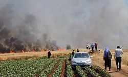 Şanlıurfa'da tarla yangını: 1'i ağır 5 yaralı