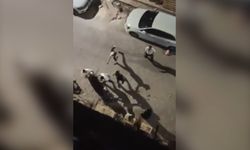 Şanlıurfa'da taş, pala ve silahlı kavga kamerada; 2 yaralı