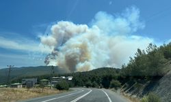 Sakarya'da çıkıp Bilecik'e sıçrayan orman yangını 2'nci gününde
