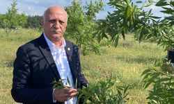 TZOB Genel Başkanı Bayraktar: 2025’e afet açısından çok hızlı başladık