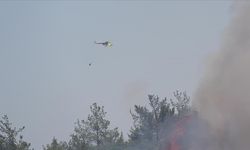 Ormanlık ve makilik alanlarda çıkan yangınlara havadan ve karadan müdahale ediliyor