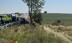 Edirne'de ağaca çarpan otomobildeki 5 kişi hayatını kaybetti, 1 kişi yaralandı