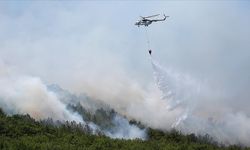 Türkiye'de orman yangınları için riskli döneme giriliyor