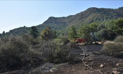 Marmaris'te çıkan orman yangını kontrol altına alındı