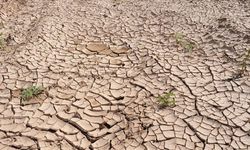 Kuraklık 2050 yılına kadar 1 milyar kişiyi göç ettirebilir