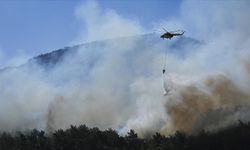 AFAD'dan orman yangınlarına ilişkin açıklama