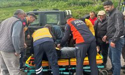 Kars'ta yıldırım isabet eden çoban yaralandı