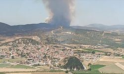İzmir'in Foça ilçesinde çıkan orman yangınına müdahale ediliyor