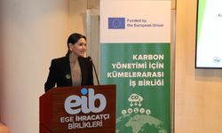 ENSİA uyardı: Sınırda karbon düzenlemesi ertelenmedi