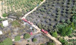 Zeytinlikteki kulübede çıkan yangına helikopterle müdahale edildi