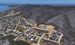 İzmir'de orman yangınlarının ardından hasar tespit çalışmaları tamamlandı