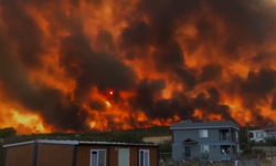 Tekirdağ'da anız yangını ormana sıçradı