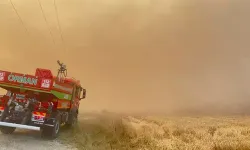 Bolu'da tarım arazisinde çıkan yangın ormana sıçradı