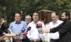 CHP'li Adem, Bağcıoğlu ve Yavuzyılmaz'dan orman yangınlarına ilişkin açıklama