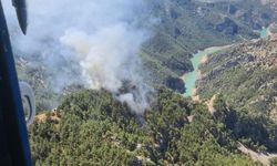 Adana'da orman yangını çıkaran şüphelilerin yakalandığı anlar kamerada