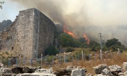 Antalya'da 3 orman yangını kontrol altında, 2'sine müdahale sürüyor